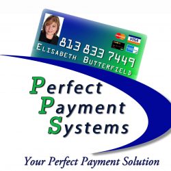 Perfect Payment Systems – Elisabeth Butterfield